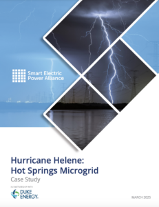 Case Study: Hurricane Helene - Hot Springs Microgrid